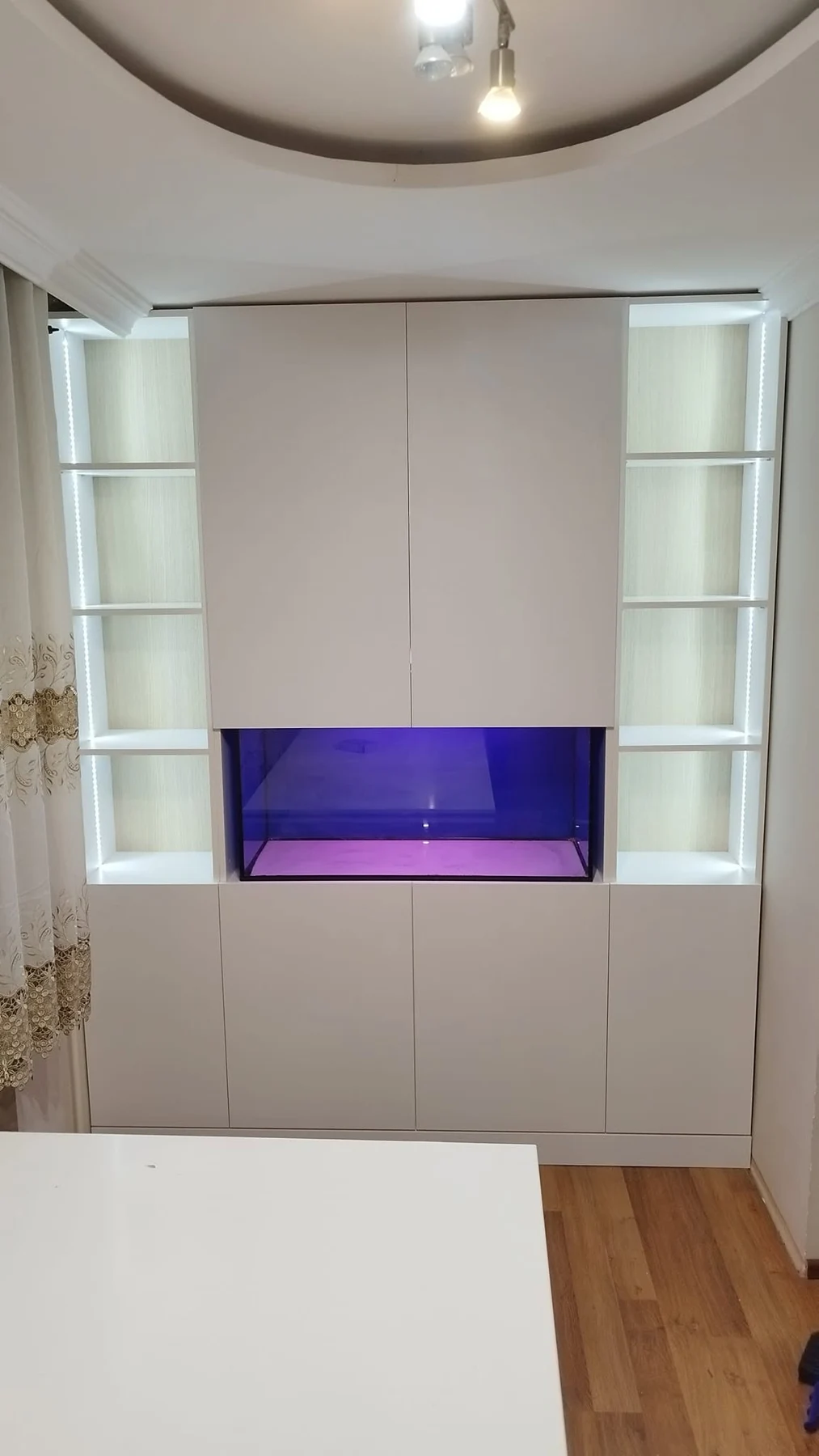 Regal u dnevnoj sobi sa rasvetom i akvarijumom od 250 litara